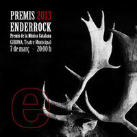 Premis Enderrock 2013